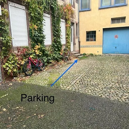Apartment Chez Sandrine, Mon Elegant + Parking Strasbourg